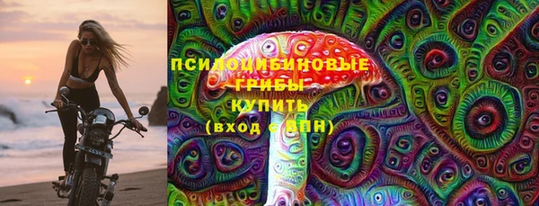 дмт Алексин