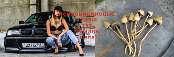 2c-b Алексеевка