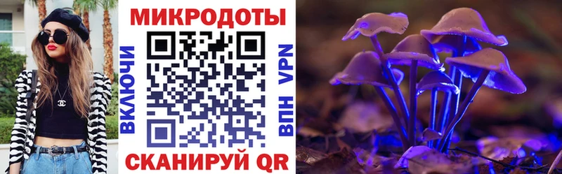 Галлюциногенные грибы прущие грибы Сольцы